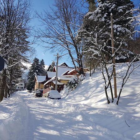 Casa De Vacanta Razvan Si Andrei Hotel Sinaia Eksteriør billede