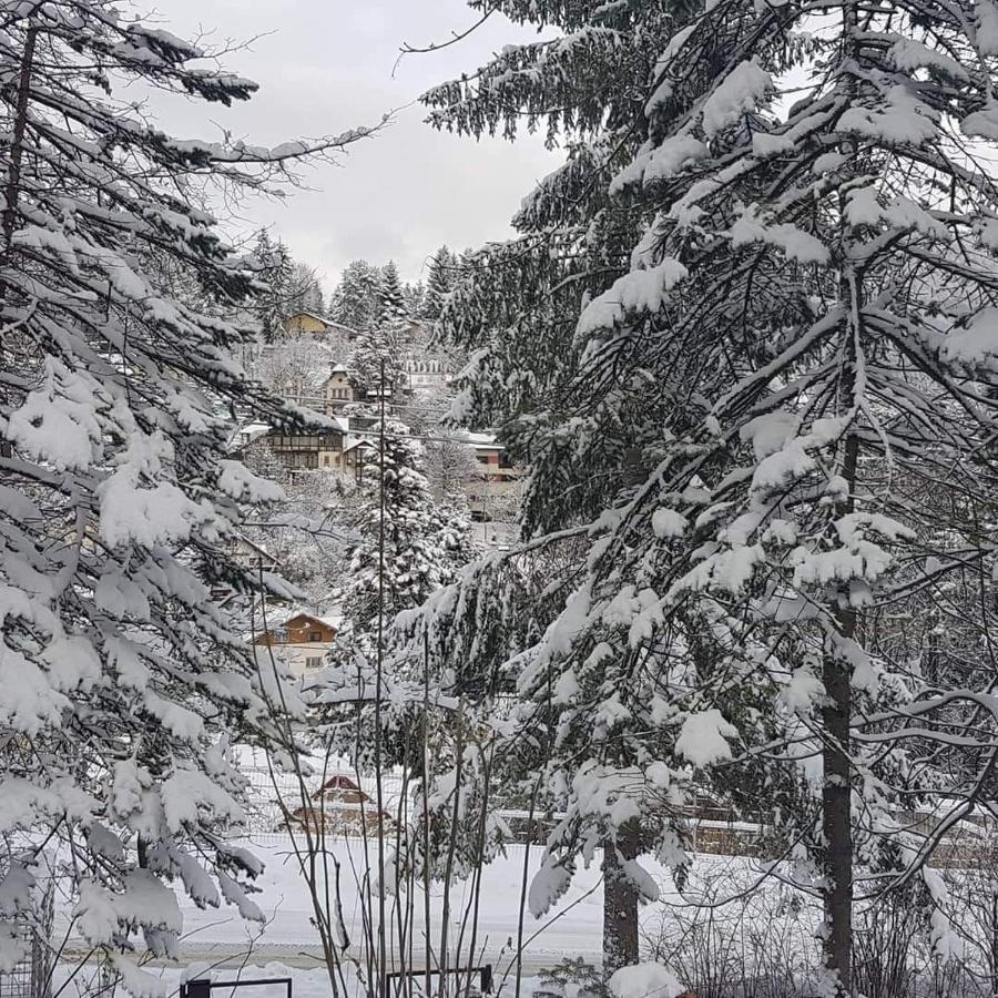 Casa De Vacanta Razvan Si Andrei Hotel Sinaia Eksteriør billede