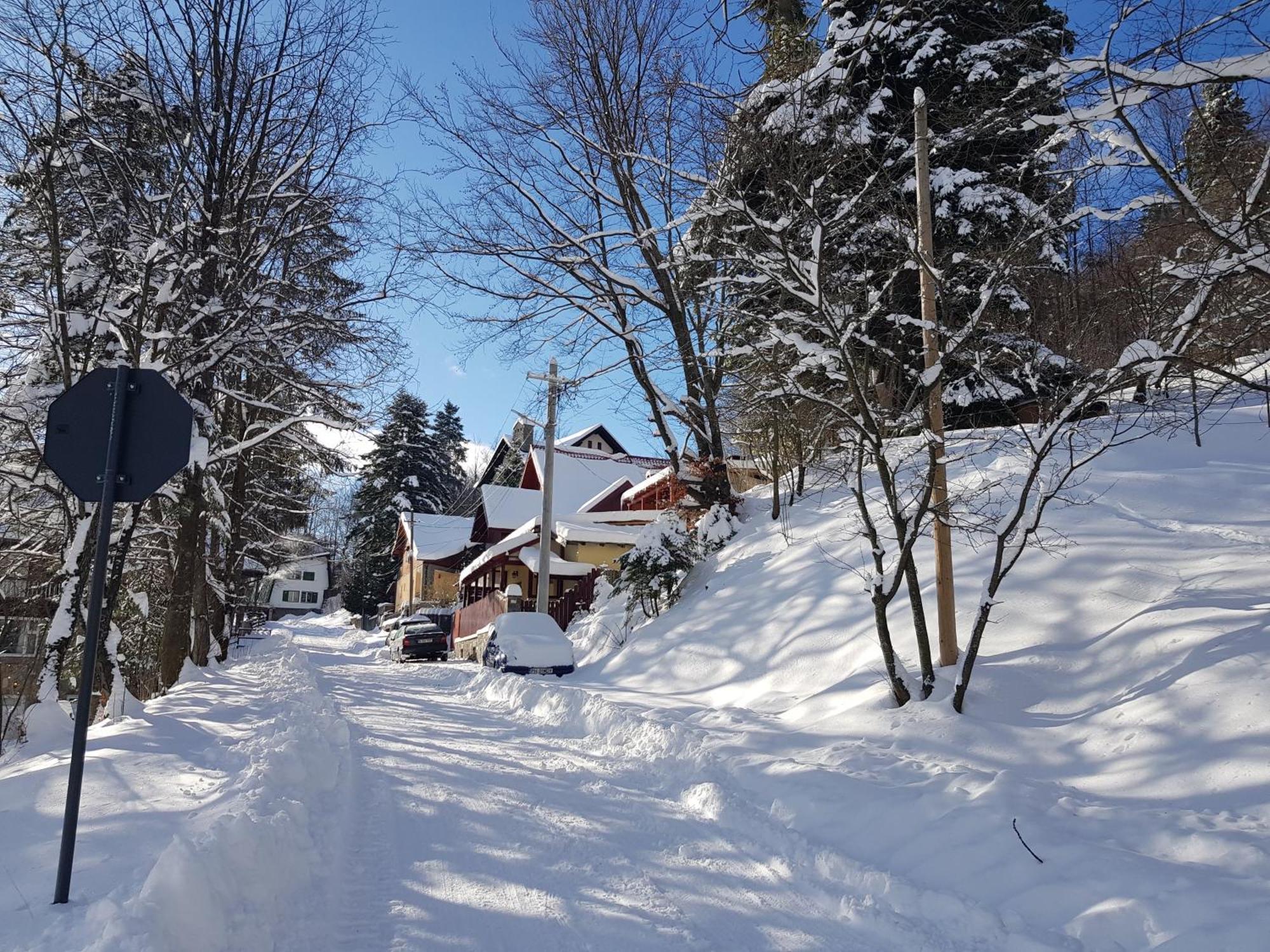 Casa De Vacanta Razvan Si Andrei Hotel Sinaia Eksteriør billede