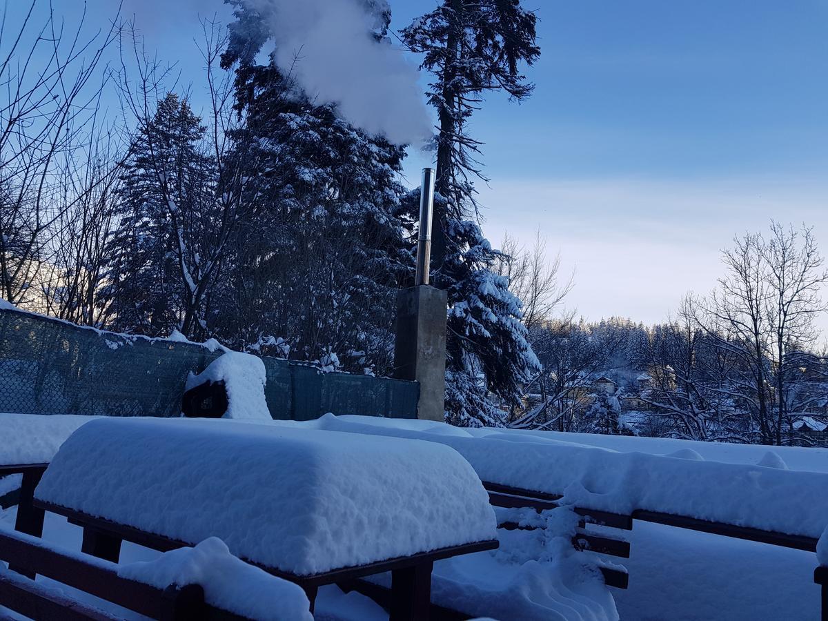 Casa De Vacanta Razvan Si Andrei Hotel Sinaia Eksteriør billede