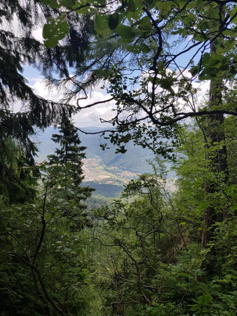 Casa De Vacanta Razvan Si Andrei Hotel Sinaia Eksteriør billede