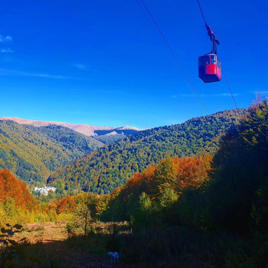 Casa De Vacanta Razvan Si Andrei Hotel Sinaia Eksteriør billede